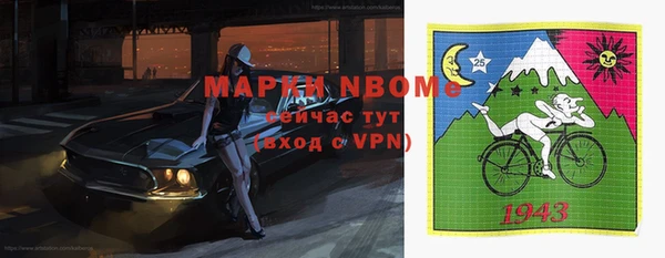 сатива Бронницы