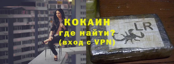 сатива Бронницы