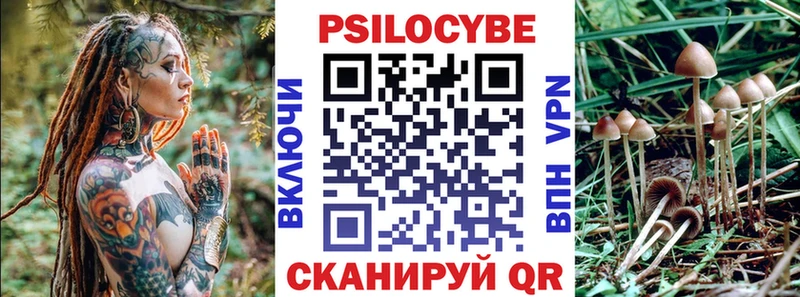 Галлюциногенные грибы Psilocybe Задонск