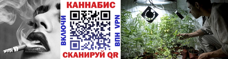 продажа наркотиков  Задонск  Конопля OG Kush 